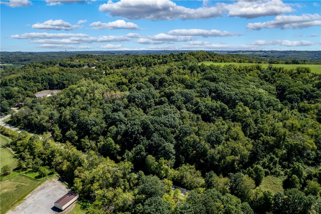 Lot 1 N Branch Rd