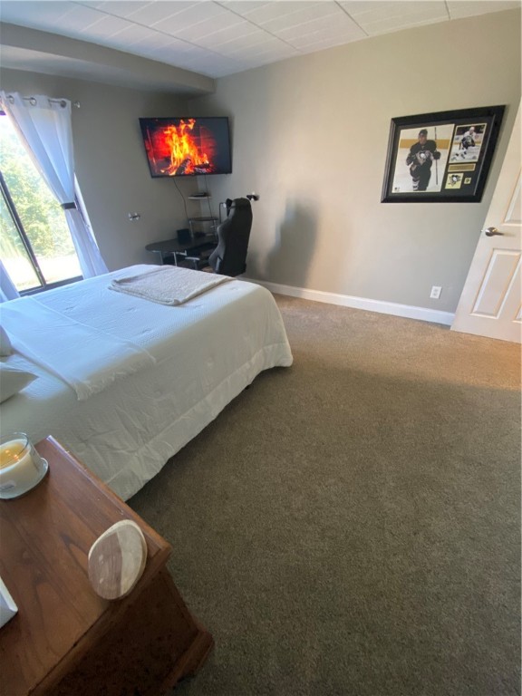 623 Forest Green Drive