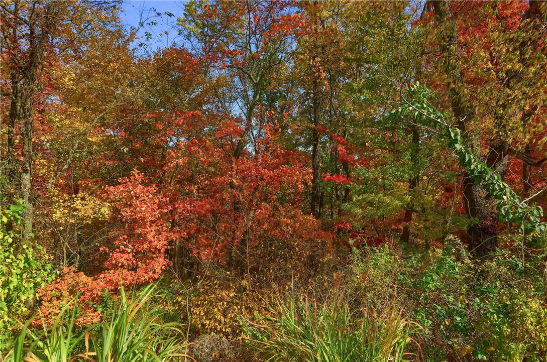 143 Brookmeade Drive