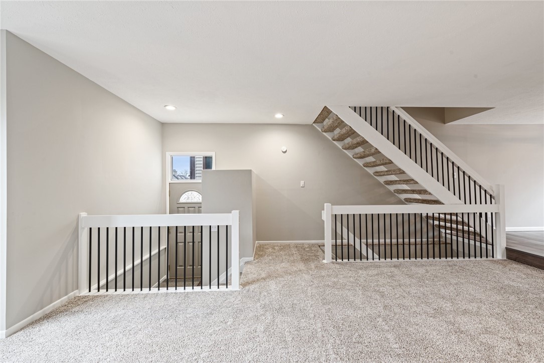 317 Spring Run Dr