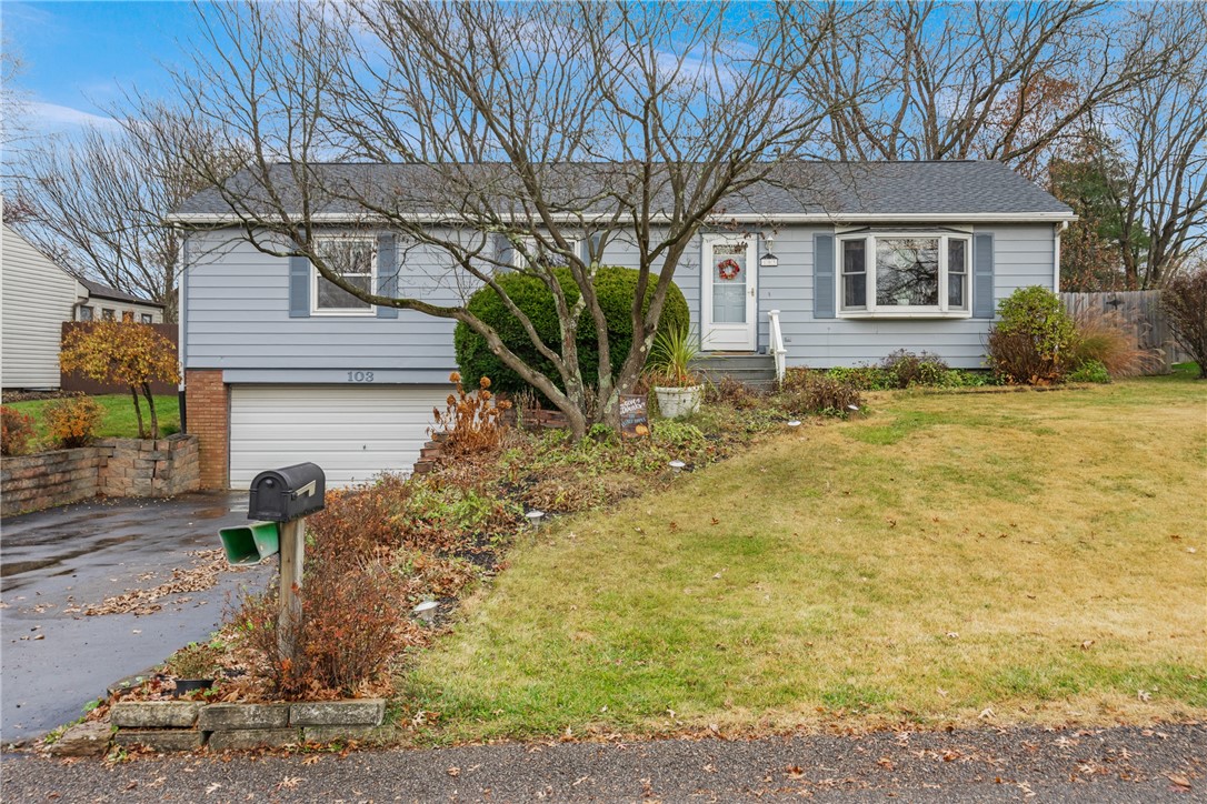 103 Mcdonald Dr