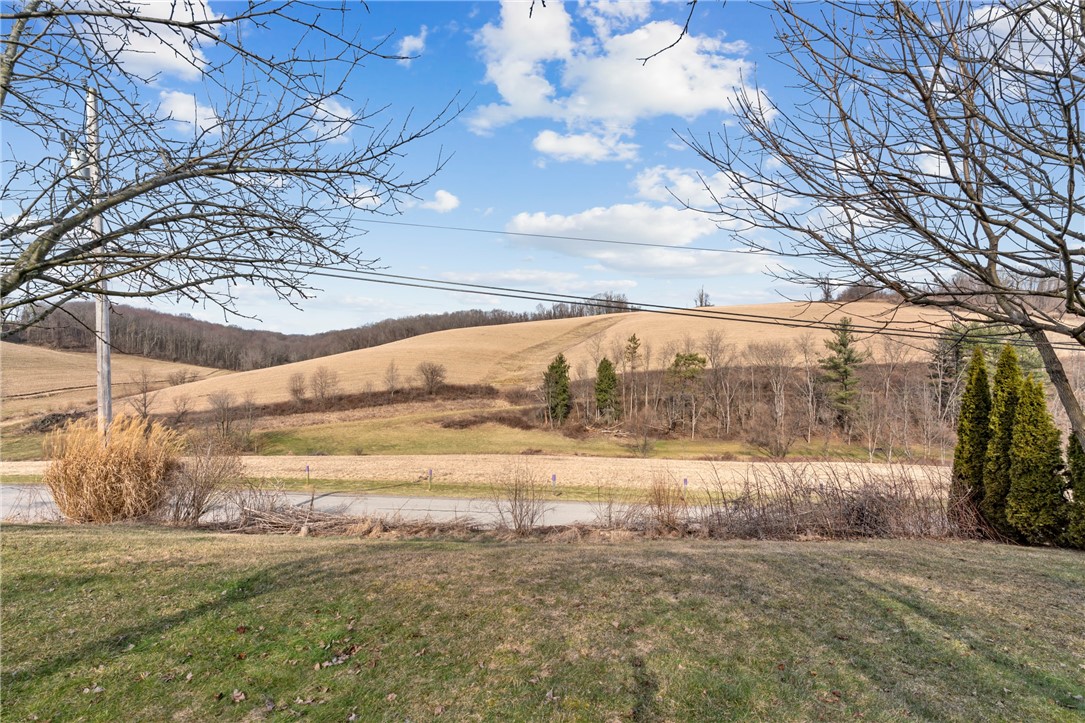 373 Taffy Run Rd