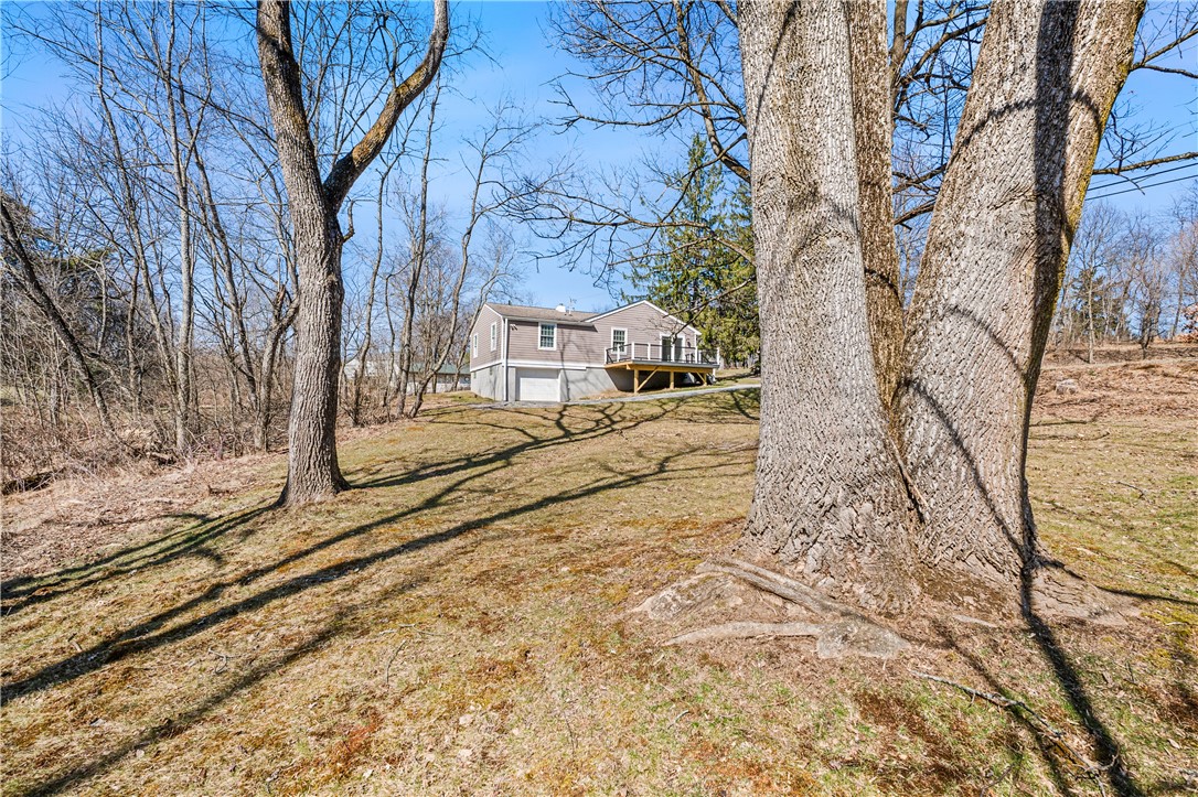 1701 Mooney Lane