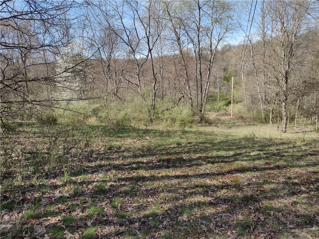 00 Tenacity Trail off Wright Rd
