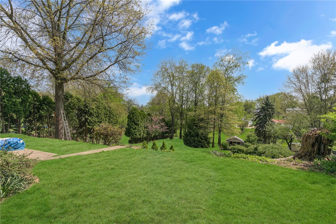 61 Norfolk Dr