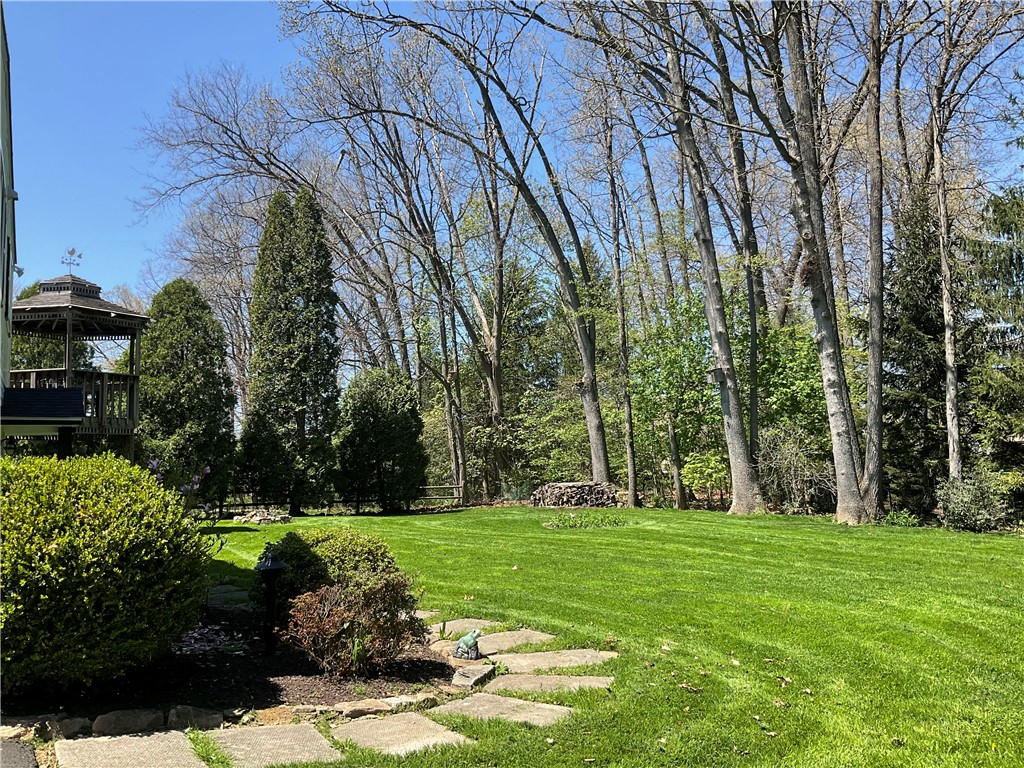 155 David Dr