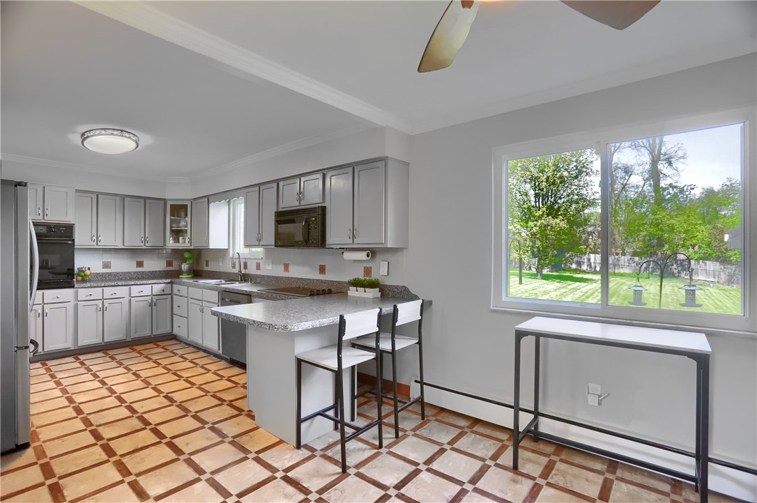 223 Springer Dr