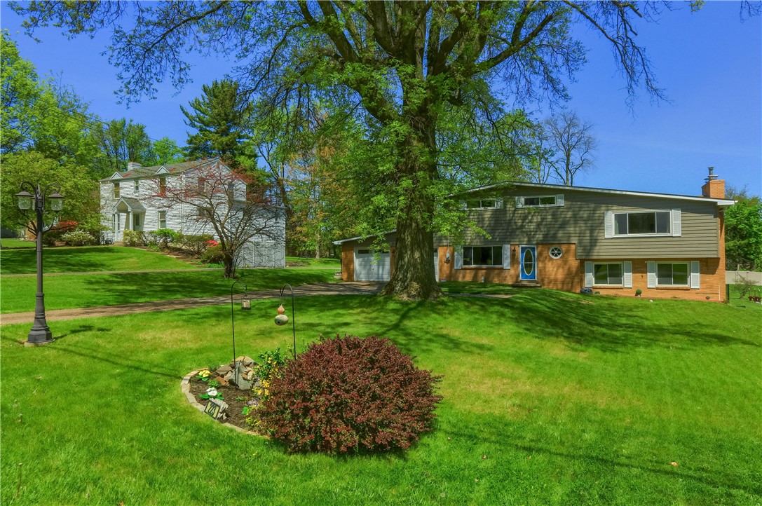 223 Springer Dr