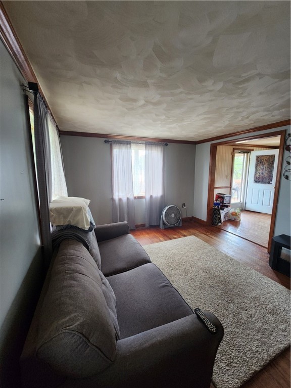 528 Constitution Cir