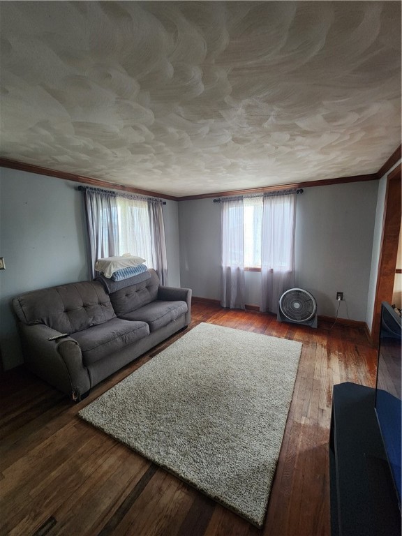 528 Constitution Cir