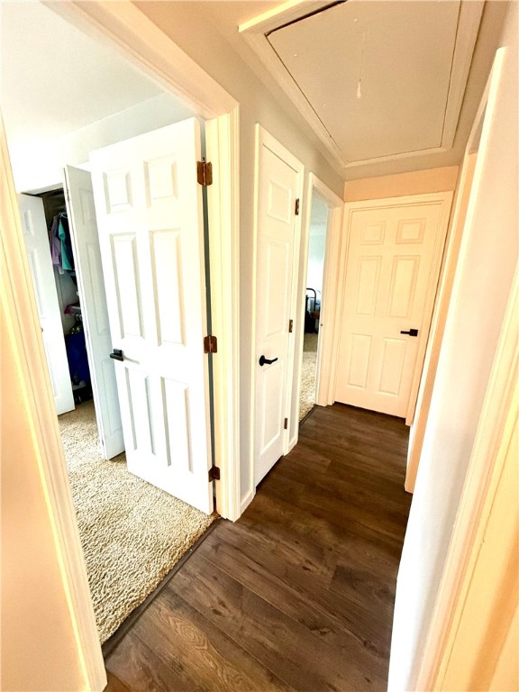 7104 Cresswyck Ct