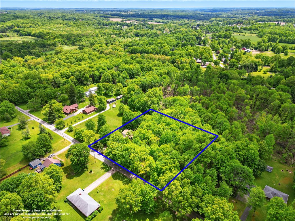 5890 Wise Rd.