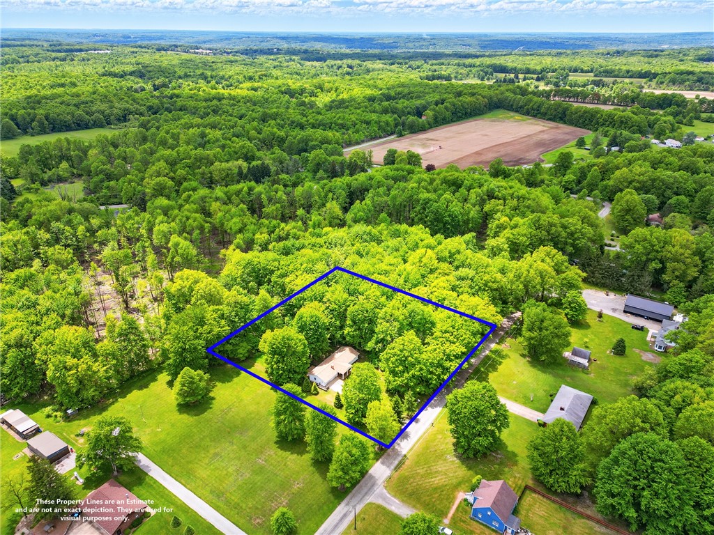 5890 Wise Rd.