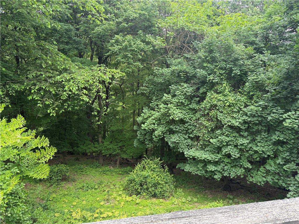 822 Persimmon Rd