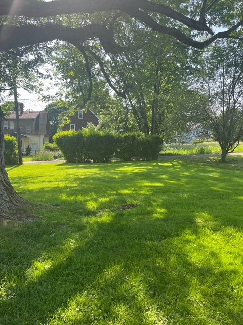 710 Cedar Ave