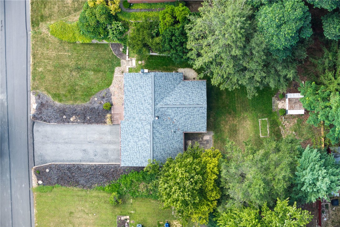 217 Belladonna Dr