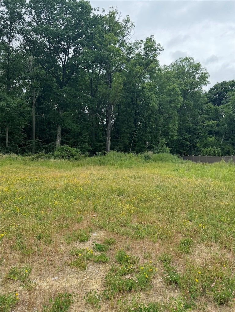 (Lot 106) 1010 Goldeneye Drive