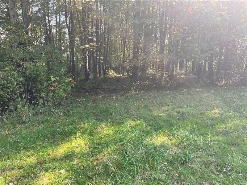Lot #3 Old Plank Road