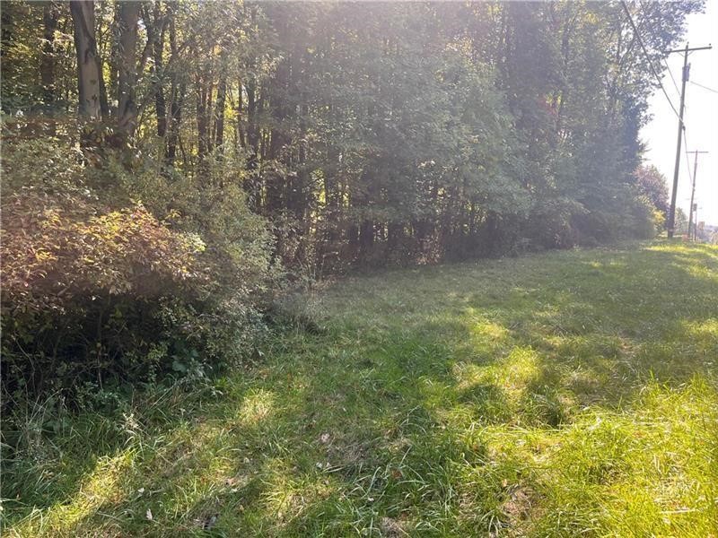 Lot #3 Old Plank Road
