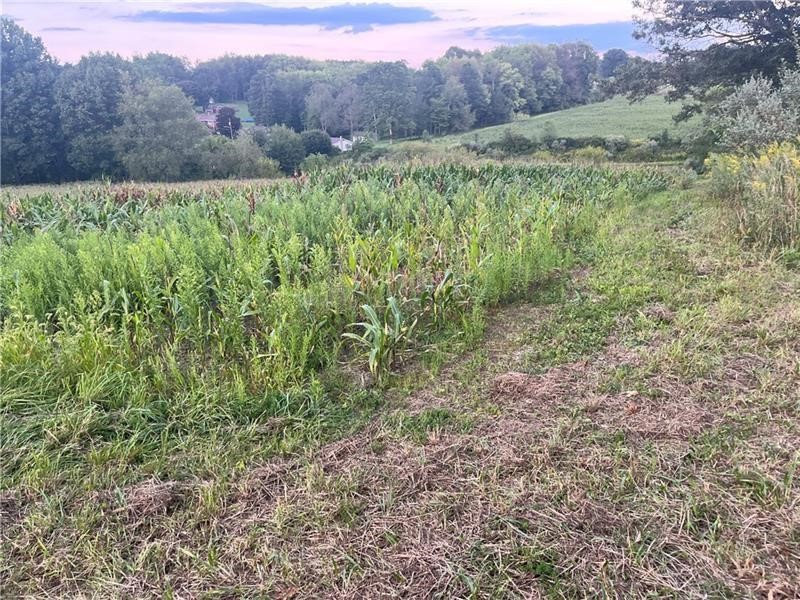 Lot #1 Saxonburg Road