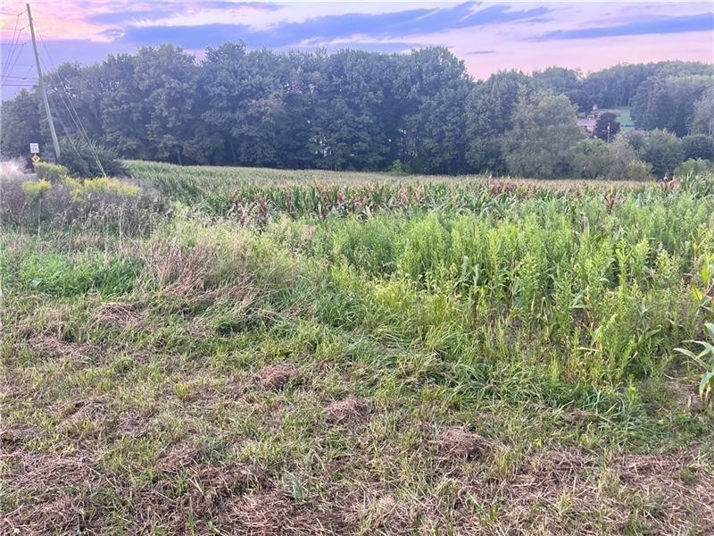 Lot #1 Saxonburg Road