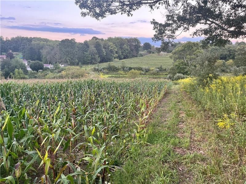 Lot #1 Saxonburg Road