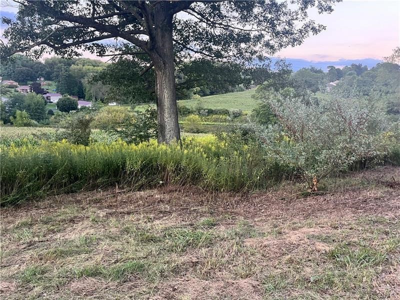 Lot #2 Saxonburg Road