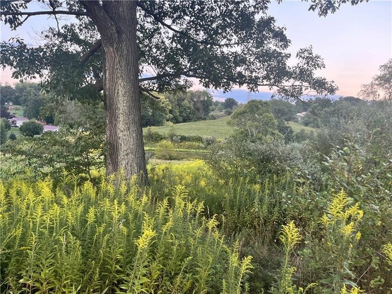 Lot #2 Saxonburg Road