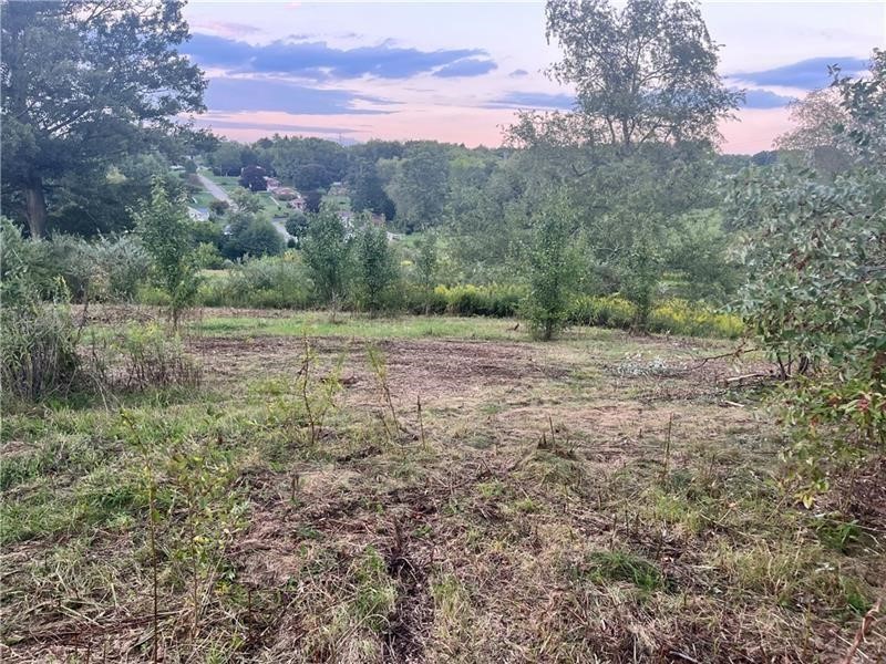 Lot #2 Saxonburg Road