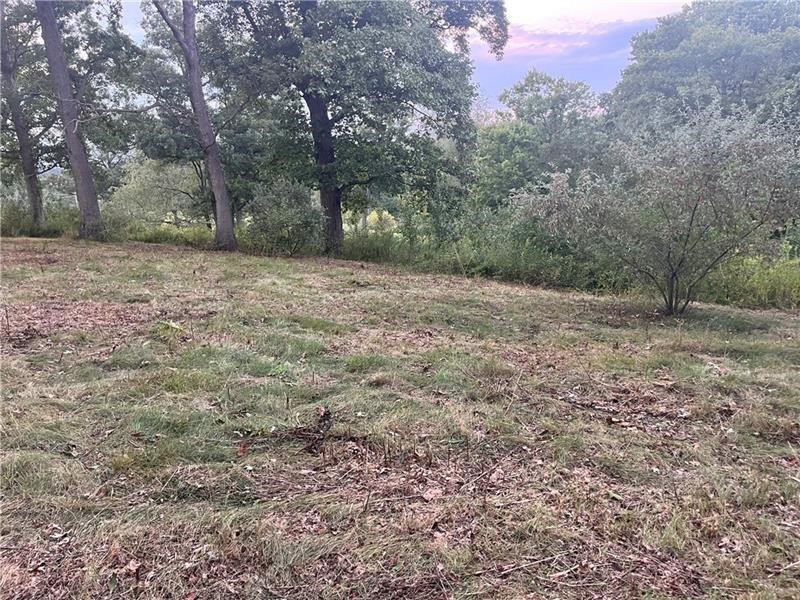Lot #3 Saxonburg Road