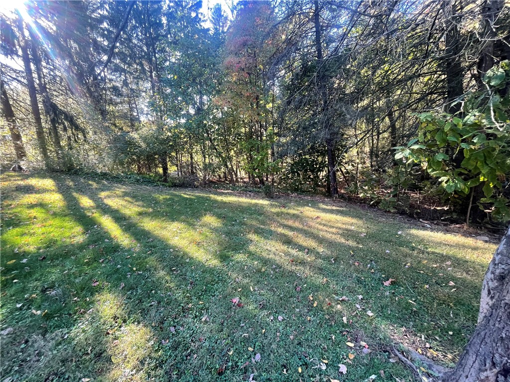 435 Mccalmont Rd