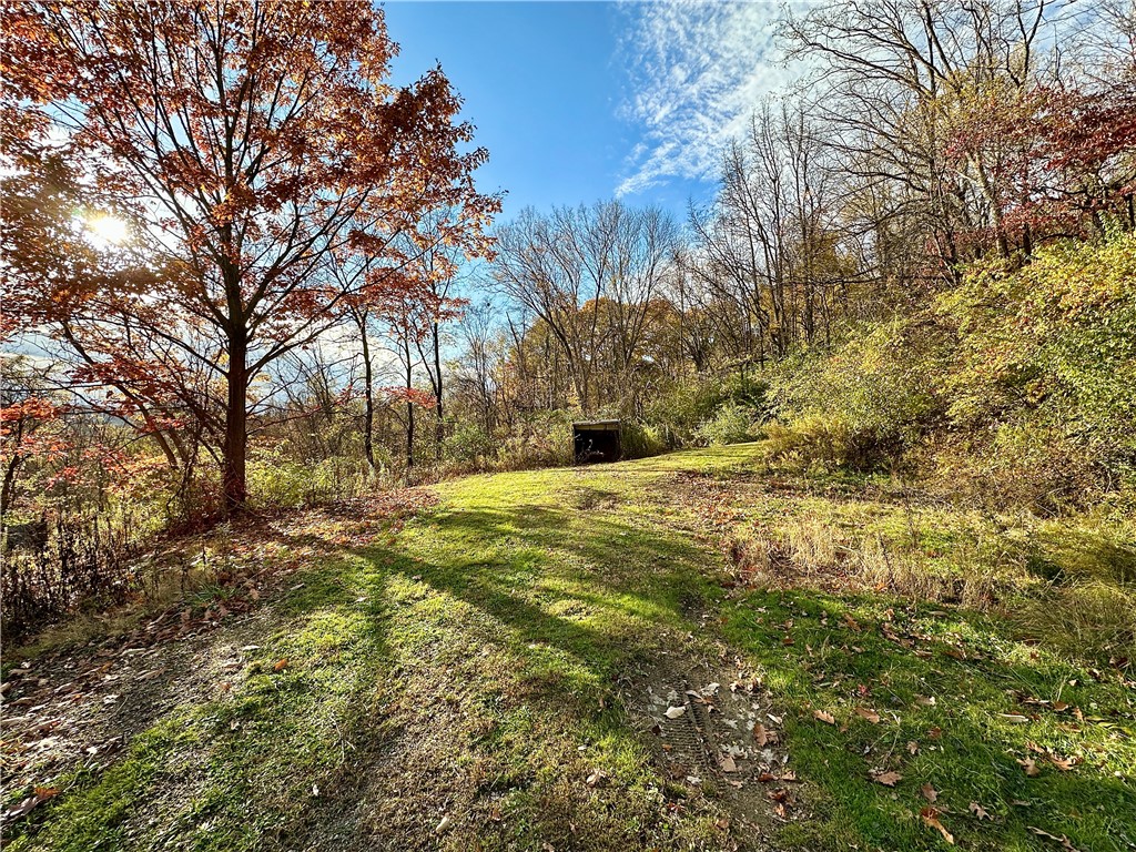100-300 Tony Ditko Rd