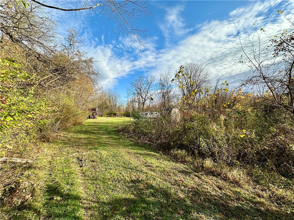 100-300 Tony Ditko Rd