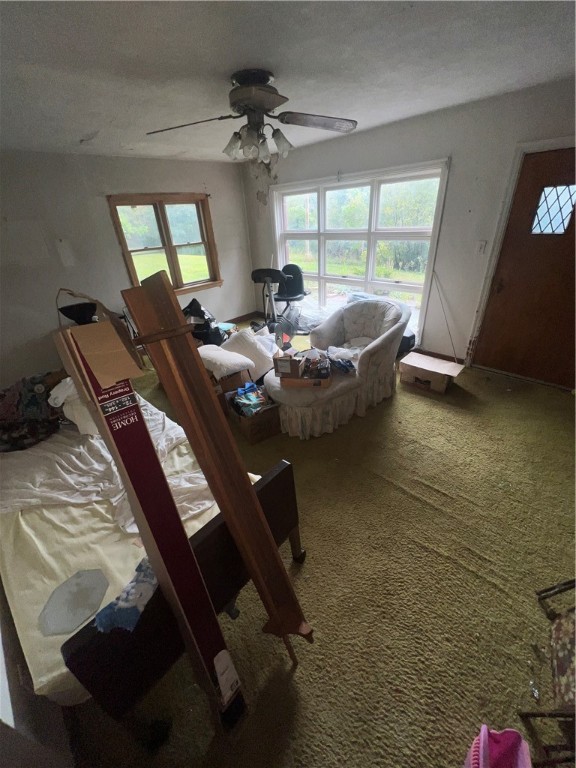2428 Saxonburg Blvd