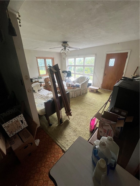 2428 Saxonburg Blvd
