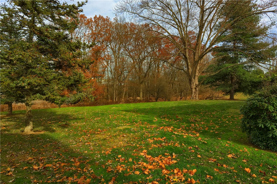 115 Forest Dr