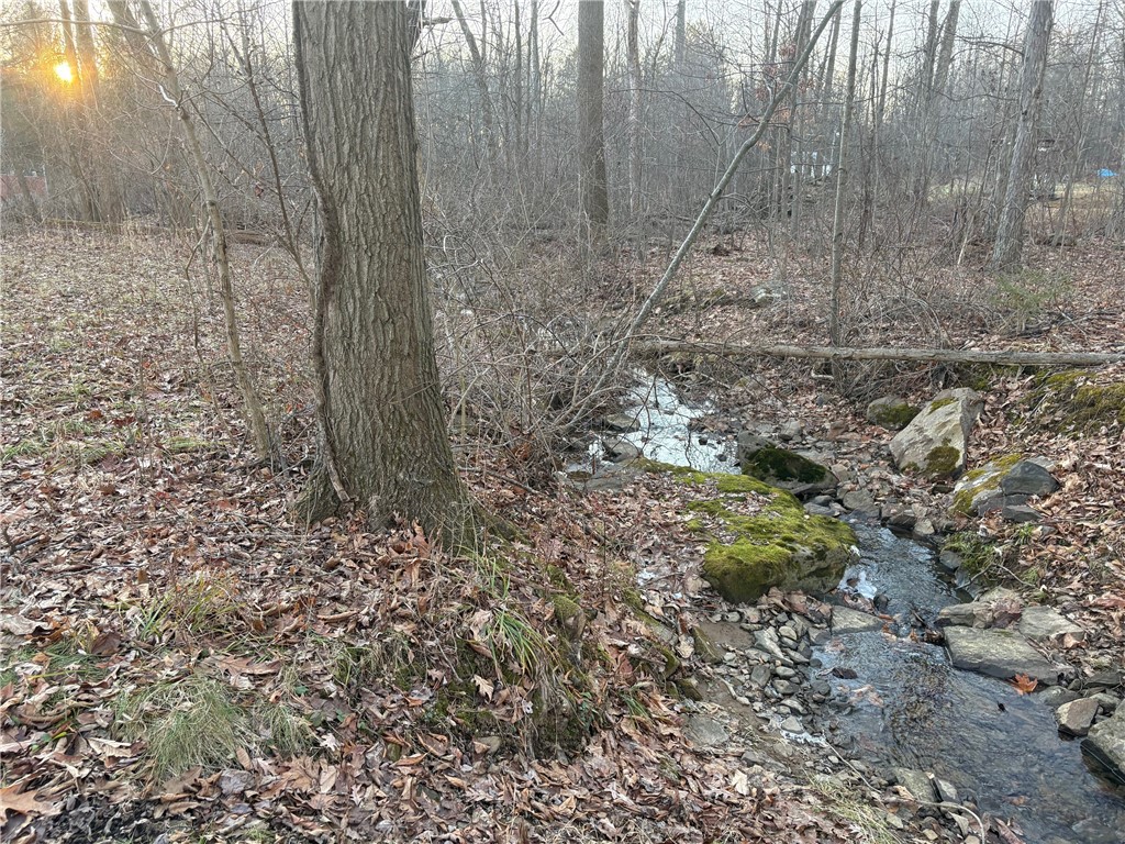 Lot #1 Wilson Road