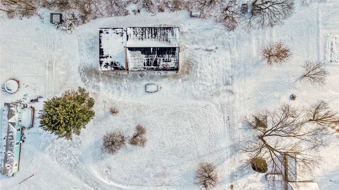 107 Frances St
