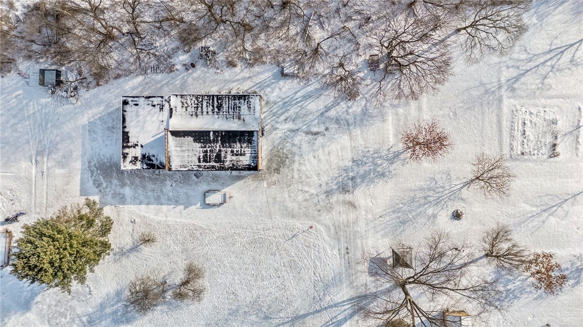 107 Frances St