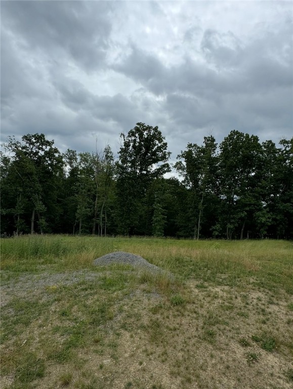 (Lot 205) 2009 Mallard Ln