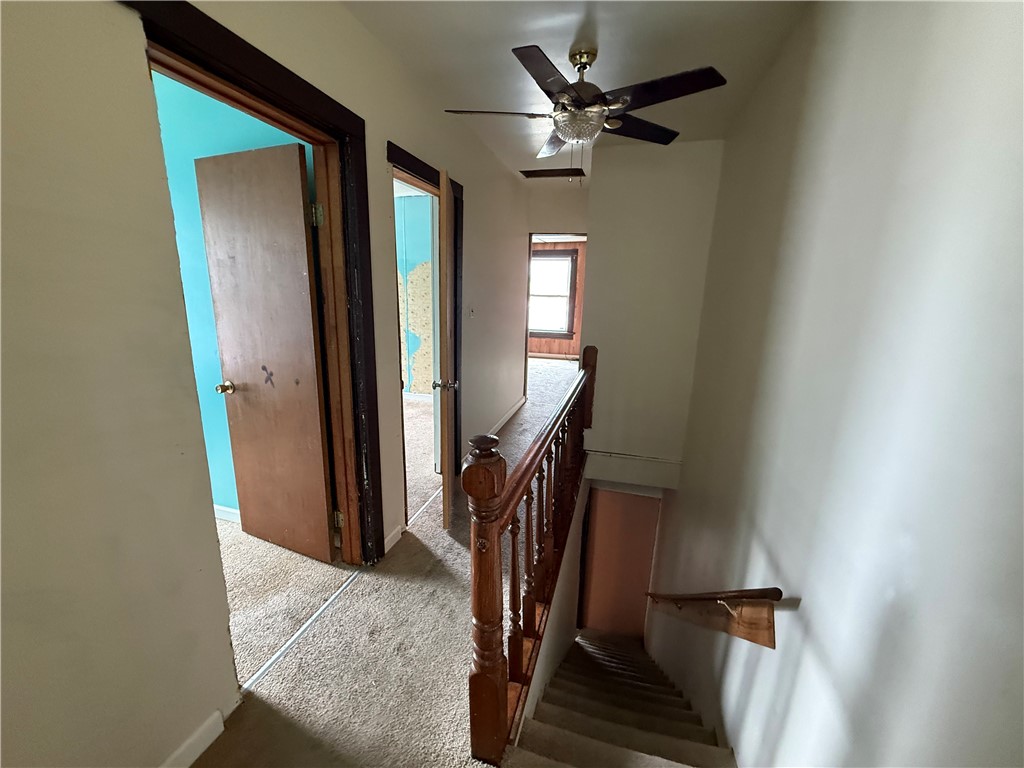 417 Shadyside St