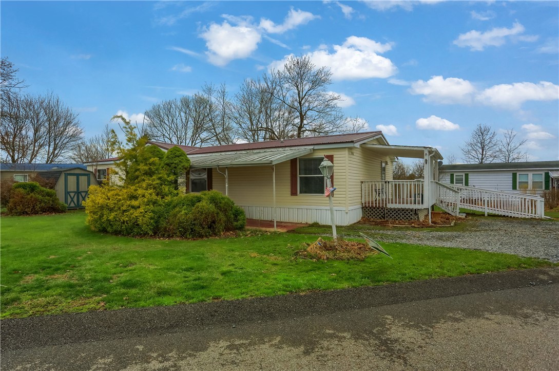 903 Chester Dr