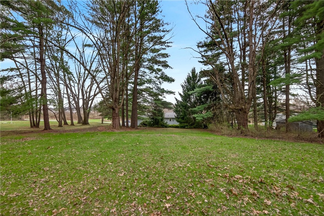 1461 Lynnwood Dr