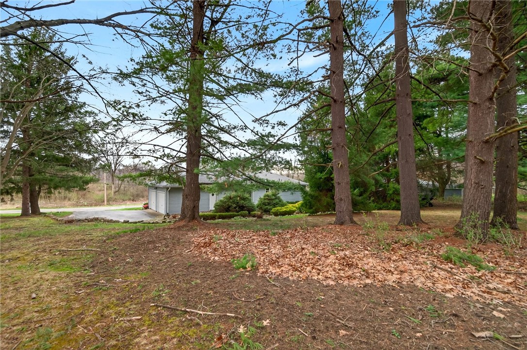 1461 Lynnwood Dr