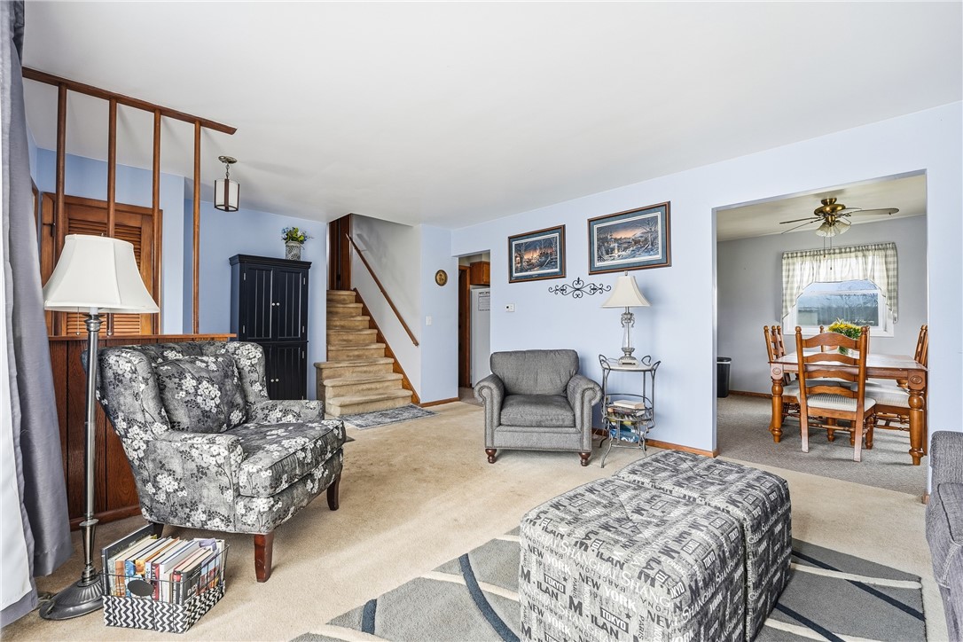 37 Carlisle Rd