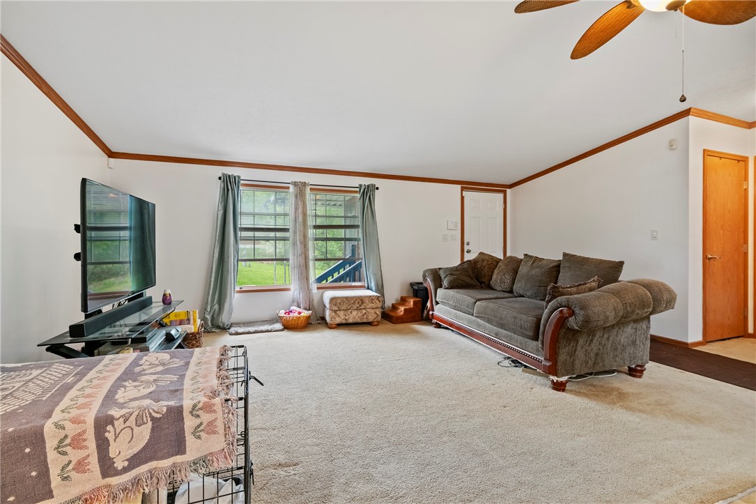 15 Pine Ct