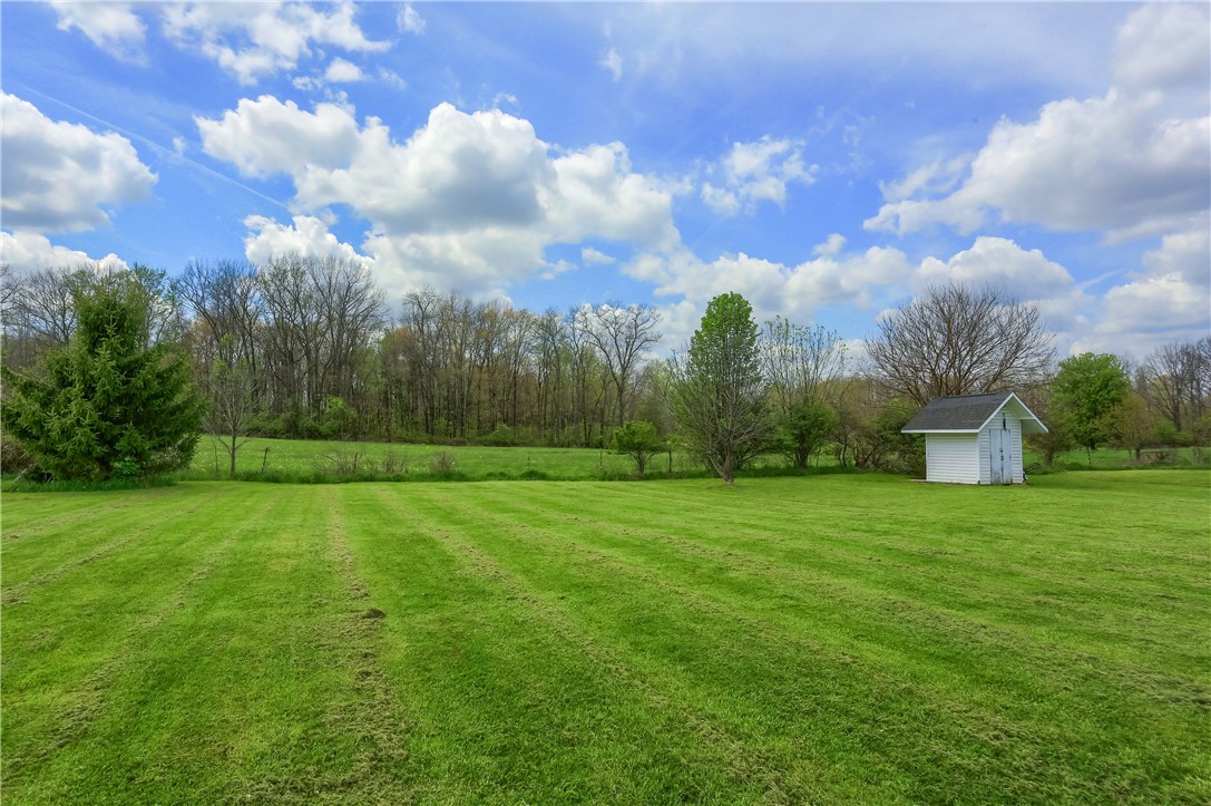 635 Cameron Rd