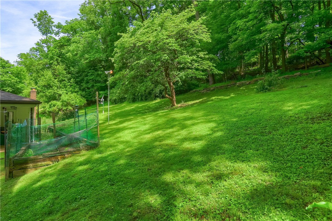 370 Northern Pike