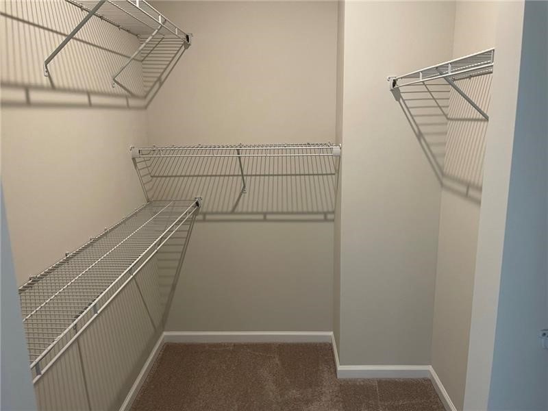104 Lupine Dr