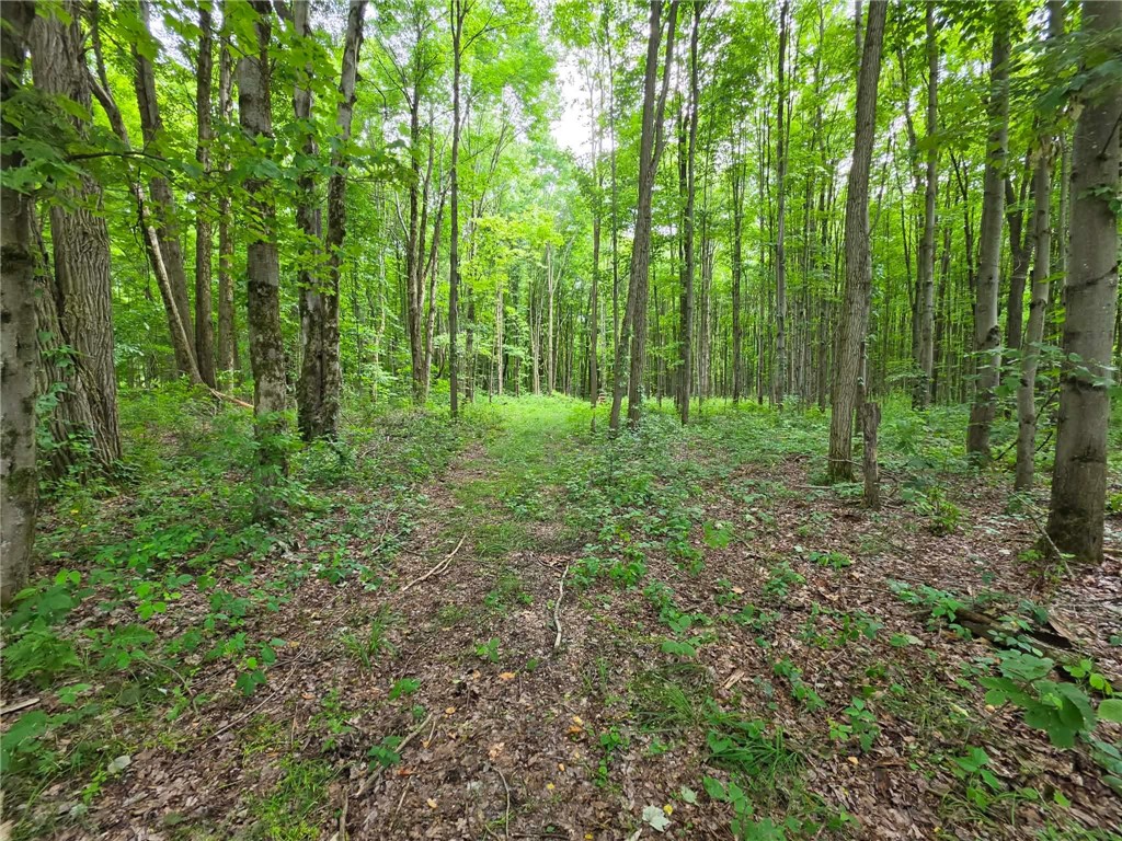0 Fox Mine Rd